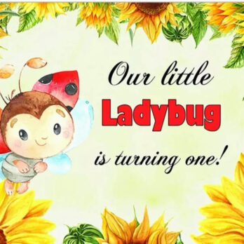 רקע our little ladybug is turning one! דגם 901700729